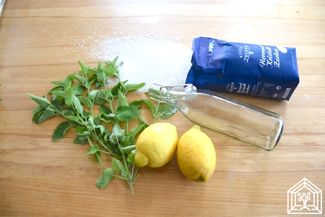 Aus wenigen Zutaten wir köstlich süßer Zitronenmelissen-Sirup